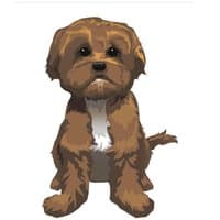 1st Priority Autos logo