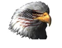 Eagle Automotives logo