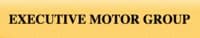 Executive Motor Group LLC. logo