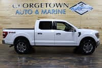 Georgetown Auto & Marine logo