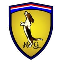NG Supercars logo