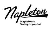 Napleton's Valley Hyundai logo