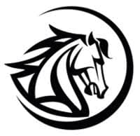 Stallion Motors logo