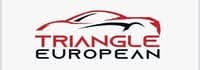 Triangle European logo